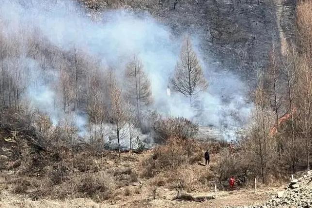 明火已撲滅，初步判斷由祭祀用火引發(fā)！今年已發(fā)生多起